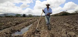 A maize farmer near Alauca, Honduras, takes a break from digging irrigation channels. Climate change in the form of higher temperatures and less rain is expected to have a big impact on Central American crops and farmers, and decision-makers need information on climate change adaptation (Photo: Neil Palmer/CIAT via Creative Commons)