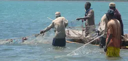 Fishermen hauling in nets near the Kenyan coastal town of Shimoni (Photo: Anna Kika via Flickr)