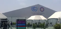 Delegates at the 20th session of the Conference of the Parties (COP20) in Lima, Peru (Photo: Kate Wilson/IIED)