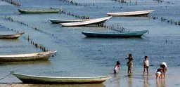 Seaweed farming in Nusa Lembongan, Bali, is an example of an alternative livelihood project (Photo: Yeowatzup via Creative Commons)