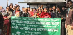 Community engagement in preventin pangolin poaching in Nepal (Photo: Ambika Prasad Khatiwada)