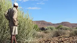 A Conservancy Rhino Ranger in Namibia stands proudly before a cow and calf that he has tracked during a patrol. Rhino sightings have increased over the past 12 months thanks to an expanded Rhino Ranger force and support organisations (Photo: Minnesota Zoo and Save the Rhino Trust)