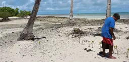 The Pacific island nation of Kiribati consists of 33 atols and reef islands. Here, adaptation includes coastal protection measures such as mangrove re-planting, as well as strengthening laws to reduce soil erosion and population settlement planning (Photo: AusAID)