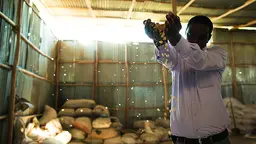 Despite the importance of the agriculture sector in Ethiopia, access to credit is limited (Photo: Morgana Wingard/USAID, Flickr via Creative Commons)