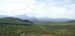 Isiolo County, Kenya: dryland areas make up more than 80 per cent of Kenya's land and are home to some four million pastoralists (Photo: James Patison/IIED)