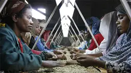 Ethiopian women sort coffee beans at a long table. IIED's Critical Theme will explore gender equality issues (Photo: Wikipedia Commons)