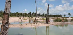 Tidal damage on the small island nation of Kiribati. Small island developing nations, especially the atoll nations of the Pacific and Indian Oceans, are among the poorest and most vulnerable to climate change (Photo: Jodie Gatfield, AusAID)