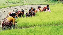 The voices of women involved in farming and fisheries, such as these in Bangladesh, are often lost in decision-making (Photo: CBFM-Fem Com Bangladesh/WorldFish, Creative Commons, via Flickr) 