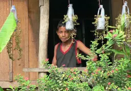About the architecture of aid