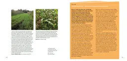 An excerpt from the 'Valuing variability: new perspectives on climate resilient drylands development' book (Image: IIED)