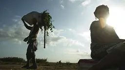 A farmer in southern Mozambique carries greens back to his family from a project that has been backed by the Climate Investment Fund, which is working with the African Development Bank on a pilot program for climate resilience (Photo: CIF Action, Creative Commons, via Flickr)