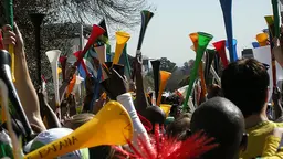 South Africans celebrate 'Vuvuzela Day': the World Forestry Congress in Durban will discuss critical forestry issues (Photo: Dundas Football Club, Creative Commons, via Flickr)