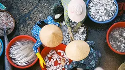 A fish market in Vĩnh Trường, Vietnam. More than 300 million people are directly or indirectly employed by the fisheries sector, and must be addressed by the oceans SDG (Photo: Khánh Hmoong, Creative Commons, via Flickr)