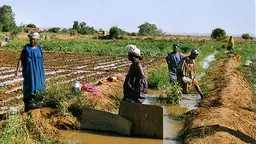 Women farmers in Senegal face challenges over land ownership. A recent workshop looked at how more equal land access could be achieved (Photo: vredeseilanden, Creative Commons, via Flickr)