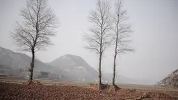 Formerly arable land is seen dried in Fuyuan county due to drought in southwest China's Yunnan province, an area known for its mild climate (Photo: Mingjia Zhou, Creative Commons, via Flickr)