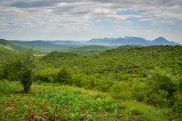 Angola aims to achieve its mitigation goals through the promotion of renewable energy, stabilisation of agricultural emissions, carbon sequestration from the forestry sector and other activities (Photo: jbdodane, Creative Commons via Flickr)