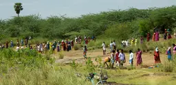 Villagers dig out a silted up water tank, paid for by India's National Rural Employment Guarantee Act (Photo: Mackay Savage, Creative Commons via Wikimedia)