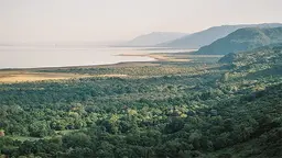 An area of forest in Tanzania, where REDD+ activities have included the support of community land use planning and the provision of alternative livelihoods (Photo: Wikipedia Commons)
