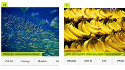 Two of the 20 questions in last year's environment and development quiz. After learning lots of lessons, we have produced another one this year... (Image: IIED)
