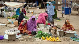 An image of women selling produce in an internally displaced persons camp, near Tawilla in North Darfur. The 'leave no one behind' agenda aims to ensure the poor are included in sustainable development (Photo: UNAMID, Creative Commons via Flickr)