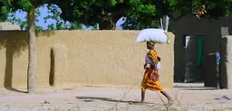 A woman carrying groceries in the village of Bouwéré, Mali. Assessments looked at how women experienced resilience to climate disruption (Photo: P.Casier/CGIAR, Creative Commons via Flickr)