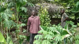 Local farm foresters near Kumasi, Ghana. Evidence suggests that locally controlled forests are generally better for the forest and people than either protected areas or large-scale industrial business models (Photo: WWF)