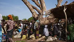 A market takes place in the village of Tiogo next to the Tiogo Forest in Burkina Faso. With much of the food and hand crafts on sale from the forest, the community is dependent on the conservation of the forest to maintain their livelihoods (Photo: CIF Action, Creative Commons, via Flickr)
