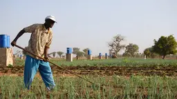 A farmer in Tattaguine, Senegal benefits from an irrigation project. IIED is advocating for the Green Climate Fund to speed up the process of getting finance to local levels, those who need it most (Photo: Ryan Kendrick Smith, Creative Commons, via Flickr)