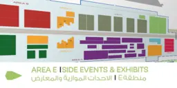 COP22 side events