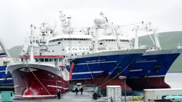 High-tech trawlers in the Faroe Islands. Ninety-five per cent of this tiny nation's exports is made up of fish (Photo: antonalfred, Creative Commons via Flickr)
