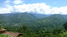 The foothills of Uganda's Rwenzori Mountains (Photo: Els Lecoutere, IOB, University of Antwerp, Creative Commons via Flickr)