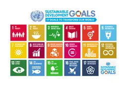 The UN poster showing all 17 sustainable development goals (Image: UN photo)