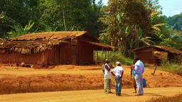 The road from Lomié in Southeast Cameroon (Photo: Duncan Macqueen/IIED)