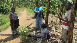 Community technicians and coordinators in Uganda chat with a local farmer during a monitoring visit. These discussions are a key connection between the technical and local worlds in carbon forestry (Photo: Geoff Wells)