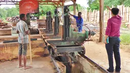 Mr Yi, the manager of the processing facility, instructs some of the Mozambican workforce of Mr Forest Ltd (Photo: Duncan Macqueen/IIED)