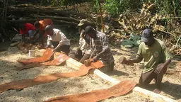 "A masterpiece of the world's intangible heritage", bark cloth is processed to be used in fashion, accessories, house wares, interior design, and other forms of art (Photo: David Nkwanga)