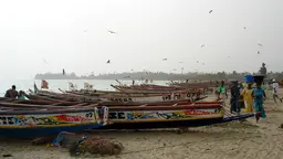 Fisheries account for 12 per cent of The Gambia's GDP. The country's Atlantic coastline and the mangroves along the River Gambia estuary are vulnerable to climate change (Photo: Javier D. Creative Commons via Flickr)