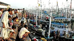 The morning fish auction at Mumbai's Ferry Wharf. Thousands of boats fish along the coast, putting acute pressure on fish stocks (Photo: lecercle, Creative Commons via Flickr)
