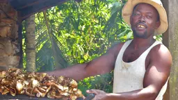 Smoked fish is a delicacy in Cameroon (Photo: Duncan Macqueen/IIED)