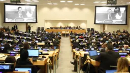 Brazil ambassador Carlos Sobral Duarte addresses a meeting to define the key elements of a draft treaty to govern the high seas (Photo: IISD/ENB | Franz Dejon)
