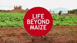 Title screen of the Life beyond maize film