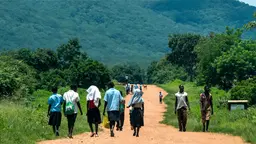 Children in Zambia travel to school. IIED has been working to make cotton policies work for the country's smallholder farmers over the past 12 months (Photo: Simon Lim)