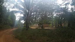 A community in Cameroon, where Centre pour l'Environnement et le Developpement has been supporting junior lawyers in rural communities (Photo: Lorenzo Cotula/IIED)