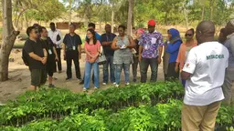 Chinese and African delegates visit a nursery and learn about a reforestation project in Pemba, Mozambique (Photo: Duncan Macqueen/IIED)