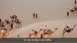 A screengrab from the 'Diffa; Les premiers matins du monde' video (Image: IIED)