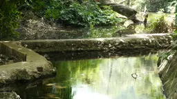 Water is conserved at a devolved climate finance project site in Zanzibar