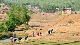 Farmers in Nepal. Nepal has introduced a range of strategies and policies to tackle climate change (Photo: Neil Palmer/CIAT, Creative Commons via Flickr)