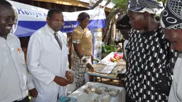 Kenyan ministry officials, agricultural researchers and farmers are testing a range of climate adaptation measures in lower Nyando district (Photo: V. Atakos/CCAFS, Creative Commons via Flickr)