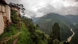 Bhutan has committed to remain carbon neutral, mainly thanks to its high forest carbon sequestration capacity. Some people say that trees in Bhutan have legal rights, referring to the constitutional mandate for 60% of our land area to remain forested for all time. (Adam Brill, Creative Commons via Flickr)