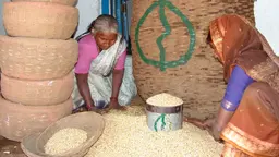 Women distributing seeds in Andhra Pradesh, India (Photo: Deccan Development Society)